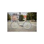 Mestský retro bicykel 28" Lavida 1-prevodový Bielo-zelený